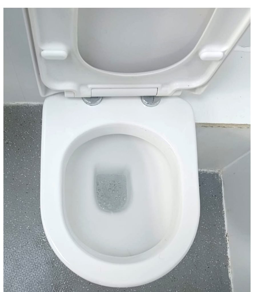 Toilet deep sanitise after deep cleaning