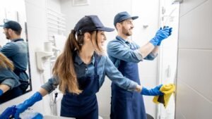 Can You Use Commercial Dishwasher Cleaners