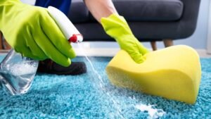 Step-by-Step Guide on How to Deep Clean a Carpet at Home