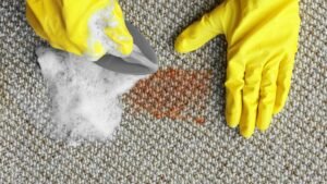 What Are the Common Mistakes to Avoid When Deep Cleaning Carpets