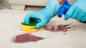 What Are the Steps to Deep Clean a Rug at Home