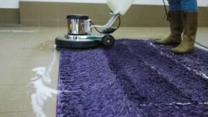 What Tools and Materials Do You Need to Clean a Rug